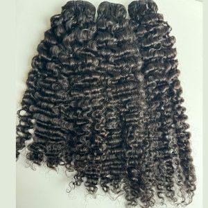 My Honey Burmese Curly